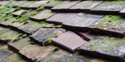 Coed Y Paen roof repair costs